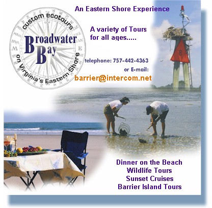 Contact Us for Types of Eastern Shore of Virginia Tours and Pricing