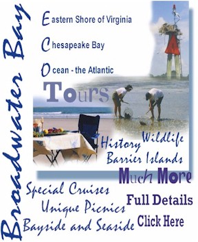 Unique Adventures, Picnics, Barrier Island Tours, Eco Tours, Wildlife Tours, and more.